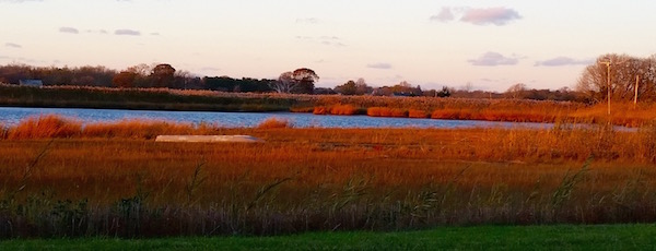Creek Sunset