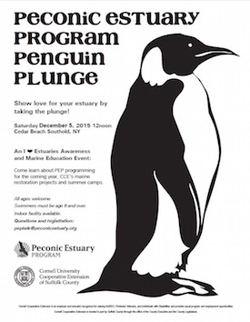 PEP Penguin Plunge