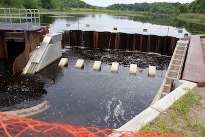 The new dam and fish ladders.