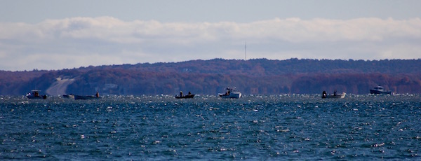 The scallop fleet west of Robins Island, Monday morning.
