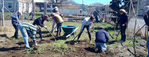 The Montauk Community Garden crew at work.