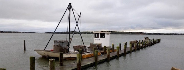 High tide, Monday morning, New Suffolk