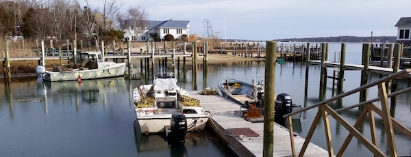 Scalloper's Sunday, New Suffolk