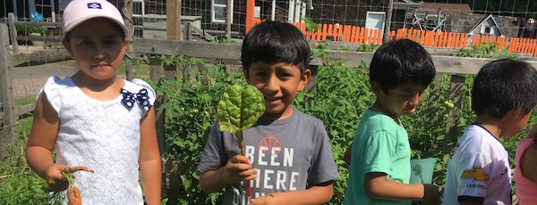 Kids in the garden at the Bridgehampton Child Care & Recreation Center