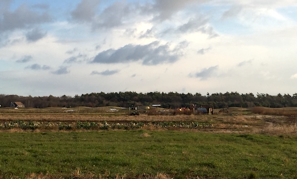 winter farm scape