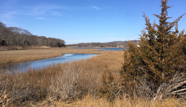 Marsh Cutchogue