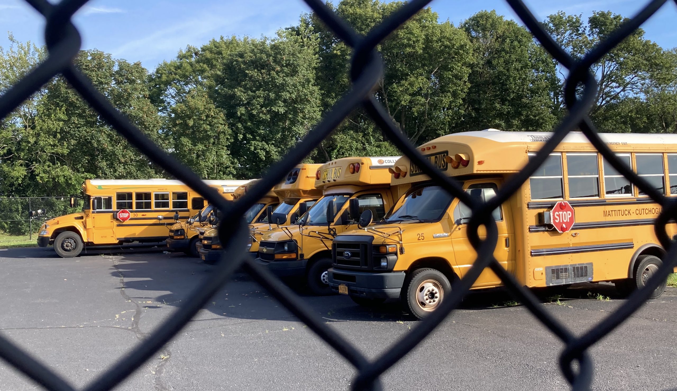 school buses for web