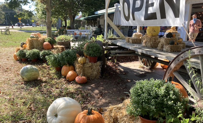 Open at the Amagansett Farmers Market