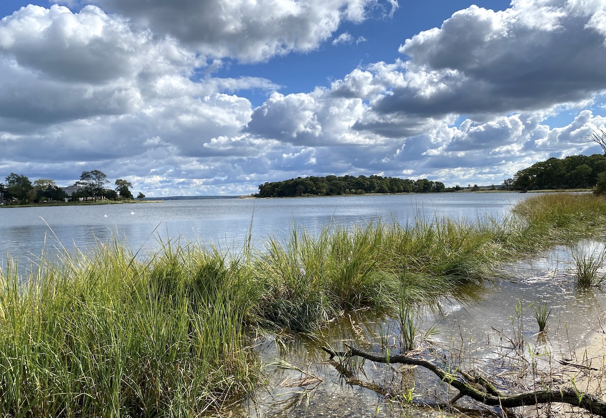 Overlooking Indian Island County Park from the Broad Cove property (PLT photo)