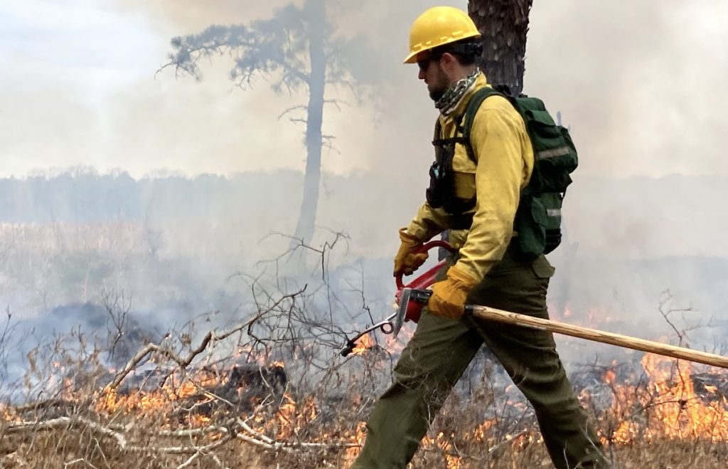 Lighting a test fire to determine if conditions were favorable for a prescribed burn in the Rocky Point State Forest on April 25.