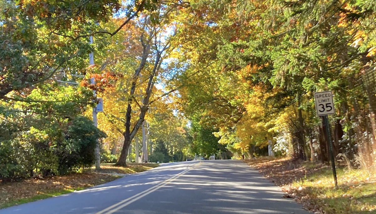 fall_street