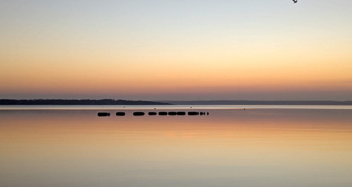 sunrise_oystergear