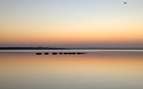 sunrise_oystergear