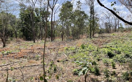 A deforested landscape in Panama. | Leonard Green photo