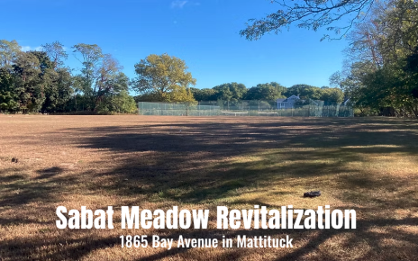 Sabat Meadow