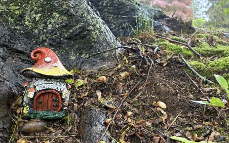 fairy_house_rain