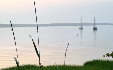 fog_sailboats
