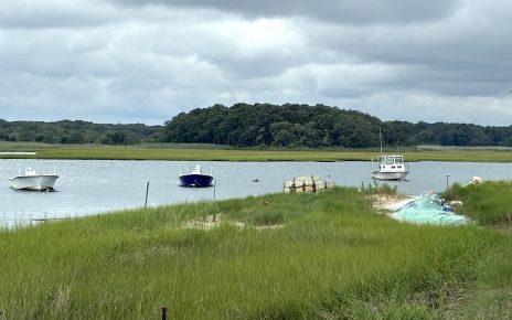 louse point commercial area