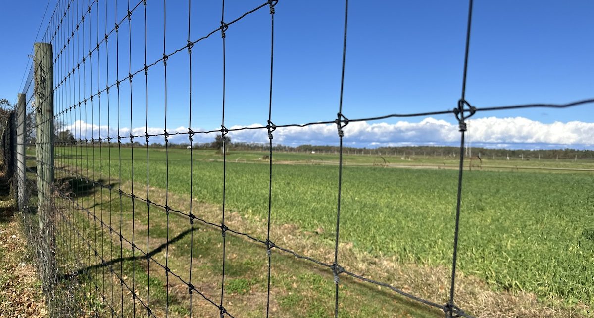 colusa subdivison_soloviev