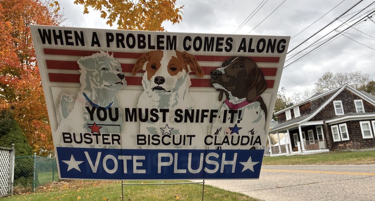 vote plush