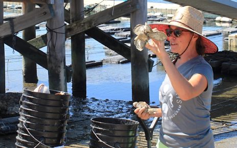Kate Rossie-Snook with her friends, the oysters.