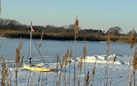 sunfish_ice