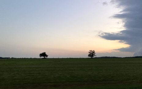 The Cole Harbor farmland as seen from Duck Pond Road.