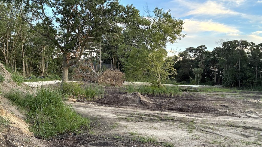 The Meetinghouse Creek wetlands restoration project, as seen from the Main Road.