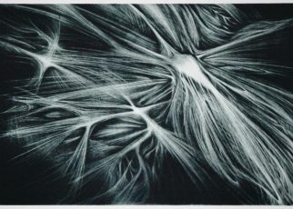 Knee Landscape by Lorena Salceo-Watson ﻿22x29 aquatint and engraving on zinc (2008)