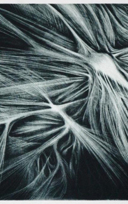 Knee Landscape by Lorena Salceo-Watson 22x29 aquatint and engraving on zinc (2008)