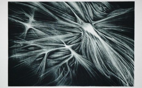 Knee Landscape by Lorena Salceo-Watson 22x29 aquatint and engraving on zinc (2008)