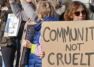 ice protest dave davis Nov. 7 2025