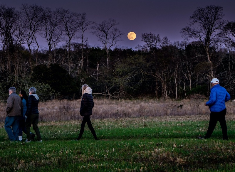 moon-walk-smaller