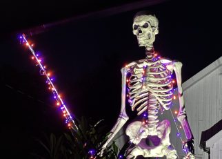 skeleton lights