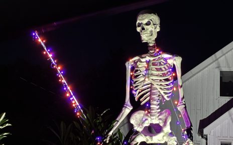 skeleton lights